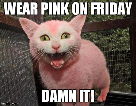 pinkcat